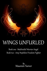 Wings cover copy1
